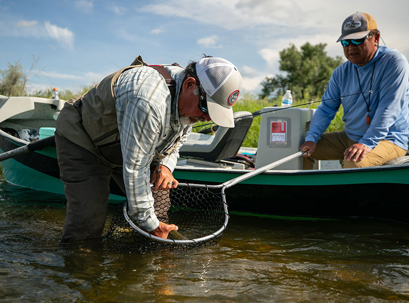 fly fishing catch