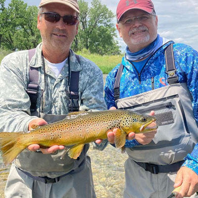 Guided fly fishing on the Bighorn River