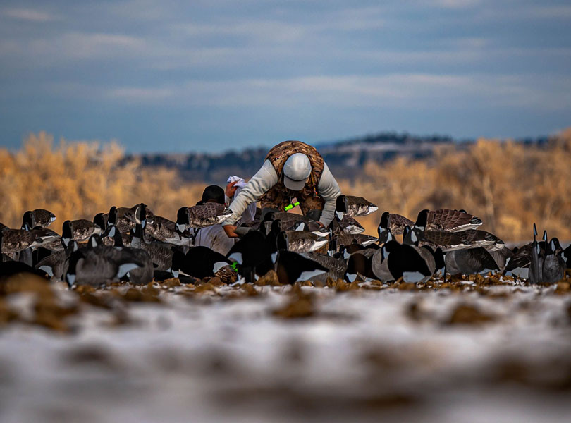 hunting-whattoexpect-inset-04