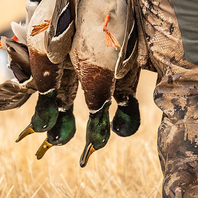 hunting-gallery-4_Sep-2026