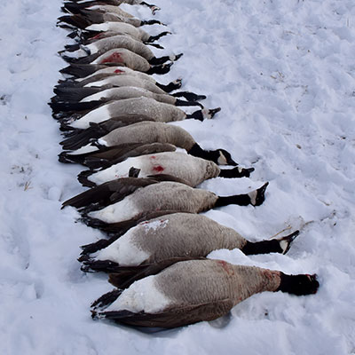 hunting-gallery-5_Sep-2026