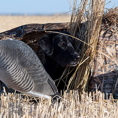 hunting-gallery-7_Sep-2026