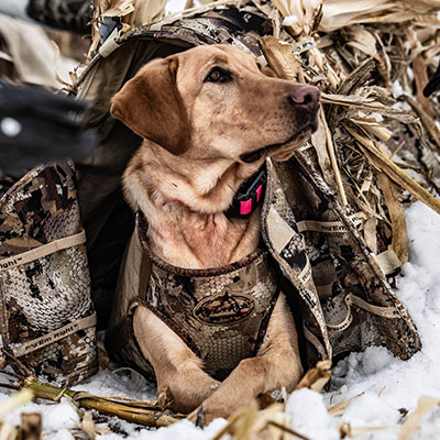 hunting-gallery-8_Sep-2026