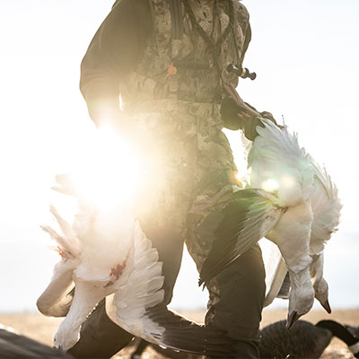 hunting-gallery-9_Sep-2026