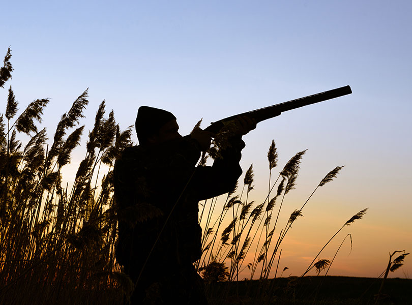 hunting-inset-13_Sep-2026