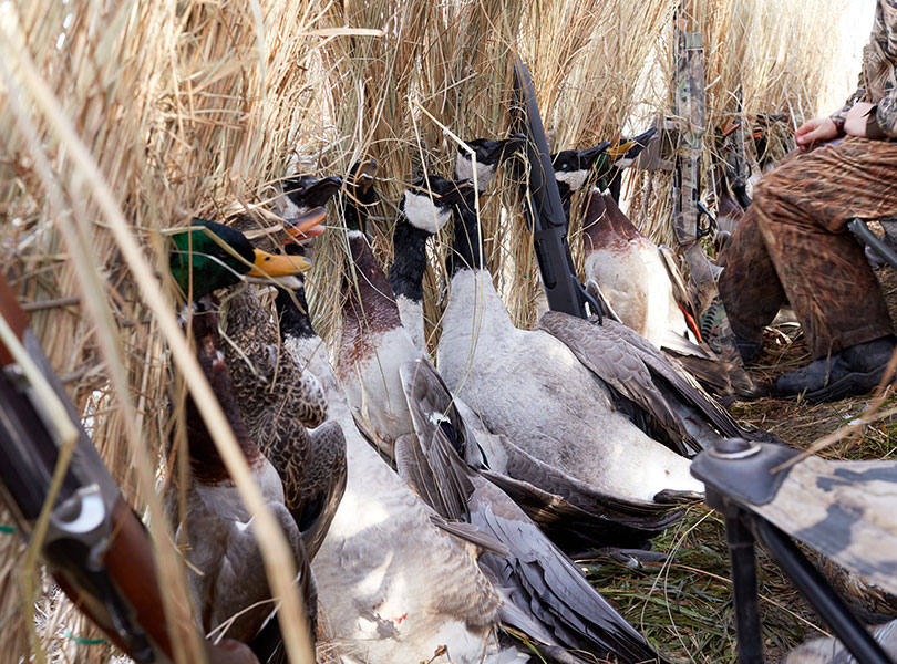 hunting-inset-14_Sep-2026