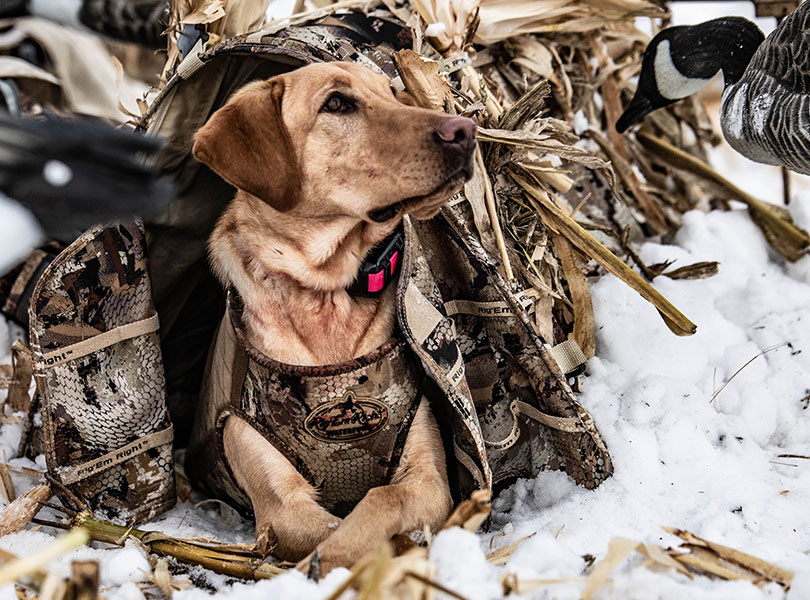 hunting-inset-15_Sep-2026