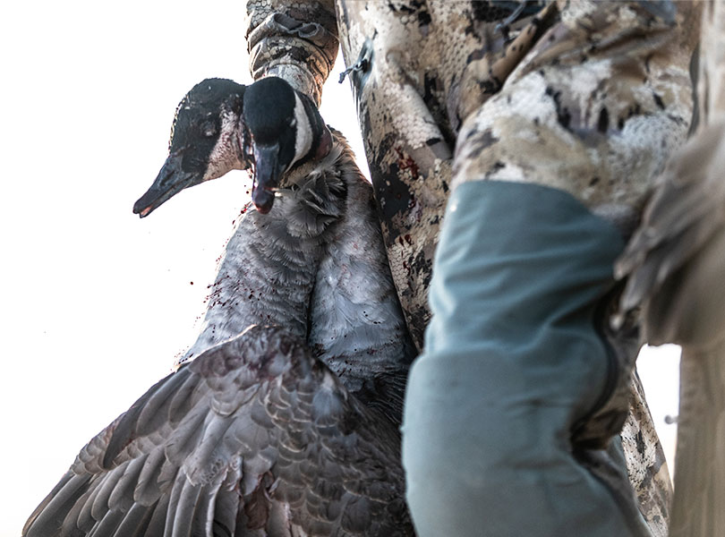 hunting-inset-18_Sep-2026