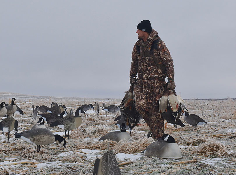 hunting-inset-8_Sep-2026